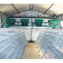battery quail rearing cage for poultry layer quail farm